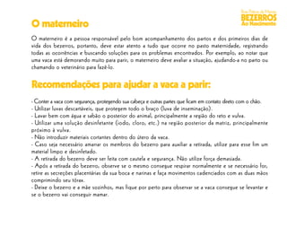 Boas Práticas de Manejo
                                                                                              BEZERROS
O materneiro                                                                                  Ao Nascimento

O materneiro é a pessoa responsável pelo bom acompanhamento dos partos e dos primeiros dias de
vida dos bezerros, portanto, deve estar atento a tudo que ocorre no pasto maternidade, registrando
todas as ocorrências e buscando soluções para os problemas encontrados. Por exemplo, ao notar que
uma vaca está demorando muito para parir, o materneiro deve avaliar a situação, ajudando-a no parto ou
chamando o veterinário para fazê-lo.

Recomendações para ajudar a vaca a parir:
- Conter a vaca com segurança, protegendo sua cabeça e outras partes que ﬁcam em contato direto com o chão.
- Utilizar luvas descartáveis, que protegem todo o braço (luva de inseminação).
- Lavar bem com água e sabão o posterior do animal, principalmente a região do reto e vulva.
- Utilizar uma solução desinfetante (iodo, cloro, etc.) na região posterior da matriz, principalmente
próximo à vulva.
- Não introduzir materiais cortantes dentro do útero da vaca.
- Caso seja necessário amarrar os membros do bezerro para auxiliar a retirada, utilize para esse fim um
material limpo e desinfetado.
- A retirada do bezerro deve ser feita com cautela e segurança. Não utilize força demasiada.
- Após a retirada do bezerro, observe se o mesmo consegue respirar normalmente e se necessário for,
retire as secreções placentárias da sua boca e narinas e faça movimentos cadenciados com as duas mãos
comprimindo seu tórax.
- Deixe o bezerro e a mãe sozinhos, mas fique por perto para observar se a vaca consegue se levantar e
se o bezerro vai conseguir mamar.
 