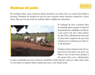 Boas Práticas de Manejo
                                                                                          BEZERROS
Mudanças de pastos                                                                         Ao Nascimento

Em condições ideais, vacas e bezerros devem permanecer no mesmo lote e no mesmo local desde o
pré-parto. Entretanto, há situações em que isto não é possível, sendo necessário conduzi-los a outros
pastos. Para que isto não resulte em acidentes alguns cuidados são importantes.

                                                             A condução de vacas e bezerros deve
                                                             ser realizada apenas quando os bezerros
                                                             já apresentam boa agilidade e resistência,
                                                             o que ocorre com uma a duas semanas
                                                             de vida. Caso o deslocamento tenha que
                                                             ser feito antes, assegure-se de que vacas
                                                             e bezerros já se conheçam para evitar ris-
                                                             co de abandono.

                                                            Conduzir sempre pequenos lotes de ani-
                                                            mais (nunca com apenas uma vaca e seu
                                                            filhote e nem em lotes muito grandes) e
                                                            de maneira lenta, com o deslocamento
ao passo, permitindo que vacas e bezerros mantenham contato durante o percurso. Após serem soltos
no novo pasto os vaqueiros devem esperar que vacas e crias estejam juntas.
 