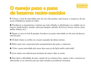 Boas Práticas de Manejo
                                                                                             BEZERROS
O manejo passo a passo                                                                        Ao Nascimento


de bezerros recém-nascidos
1- Vistoriar o local da maternidade antes do início das parições, tapar buracos e assegurar-se de que
cercas e bebedouros estejam em ordem.

2- Providenciar os equipamentos e materiais que serão utilizados na identificação e no cuidado com os
bezerros (medicamentos, tatuador, pasta para tatuagem, aplicador de brincos, brincos, tesoura, pinça,
agulhas, balança, etc.).

3- Separar as vacas em final de gestação, levando-as aos pastos maternidade um mês antes da data pro-
vável do parto.

4- O ideal é deixar as novilhas em um pasto separados das demais matrizes.

5- Definir quem será o responsável pelo acompanhamento dos partos, o materneiro.

6- Visitar o pasto maternidade pelo menos duas vezes ao dia (pela manhã e pela tarde).

7- Levar sempre uma caderneta para anotações de campo e lápis ou caneta.

8- Estar atento a dificuldades de parto, rejeição da cria e bezerro fraco, registrar o fato e comunicar ao
administrador ou ao veterinário para que sejam tomadas as providências necessárias.
 