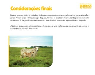 Boas Práticas de Manejo
                                                                                             BEZERROS
Considerações ﬁnais                                                                           Ao Nascimento


Mesmo tomando todos os cuidados, ainda que em menor número, provavelmente irão morrer alguns be-
zerros. Nesses casos, retire as carcaças do pasto, levando-as para local distante, sendo preferencialmente
incineradas. É de grande importância anotar a data do óbito assim como a provável causa da perda.

Adotando os cuidados acima descritos podemos esperar uma melhoria progressiva quanto ao número e
qualidade dos bezerros desmamados.
 