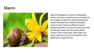 Macro
Macro Photography is a type of photography
where, one uses a camera to focus so clearly on
tiny images to make them almost look life size.
Certain cameras have a feature that allows
macro to work. There are different ways to
achieve this effect, one way is to take your lense
off and pull it away from the camera which
makes it zoom super close. Other ways is to
zoom super far in and turn the aperture down
allowing the image to focus.
 