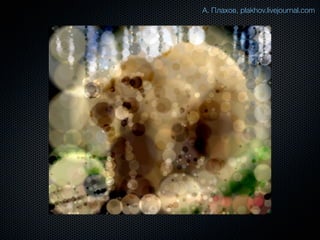 А. Плахов, plakhov.livejournal.com
 