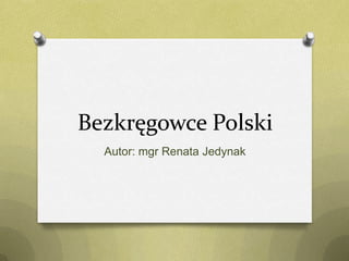 Bezkręgowce Polski
Autor: mgr Renata Jedynak

 