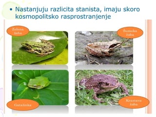 • Nastanjuju razlicita stanista, imaju skoro
kosmopolitsko rasprostranjenje
 