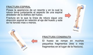 FRACTURA ESPIRAL
Posee la apariencia de un resorte y en la cual la
rotura toma justamente el aspecto de una espiral
alrededor de la diáfisis del hueso.
Fractura en la que la línea de rotura sigue una
dirección espiral en relación al eje del hueso y este
se ha torcido mas o menos.
FRACTURA CONMINUTA
El hueso se rompe en muchos
pequeños fragmentos (tres o más
fragmentos en el lugar de la fractura).
 