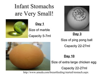 Infant Stomachs
are Very Small!
Day 1
Size of marble
Capacity 5-7ml
Day 3
Size of ping pong ball
Capacity 22-27ml
Day 10
Size of extra large chicken egg
Capacity 22-27ml
http://www.ameda.com/breastfeeding/started/stomach.aspx
 