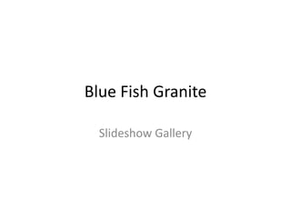 Blue Fish Granite Slideshow Gallery 