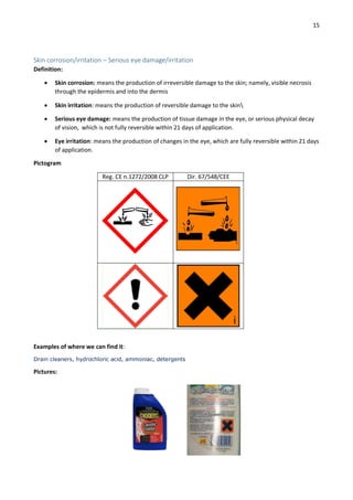 Skin Damage Application Example Guideline_handling_final | PDF