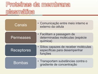 • Comunicação entre meio interno e
externo da célulaCanais
• Facilitam a passagem de
determinadas moléculas (espécie
química)
Permeases
• Sítios capazes de receber moléculas
específicas para desempenhar
funções
Receptores
• Transportam substâncias contra o
gradiente de concentraçãoBombas
Proteínas da membrana
plasmática
 