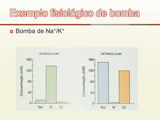  Bomba de Na+/K+
Exemplo fisiológico de bomba
 