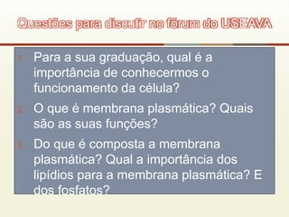 1. Para a sua graduação, qual é a
importância de conhecermos o
funcionamento da célula?
2. O que é membrana plasmática? Quais
são as suas funções?
3. Do que é composta a membrana
plasmática? Qual a importância dos
lipídios para a membrana plasmática? E
dos fosfatos?
Questões para discutir no fórum do USEAVA
 