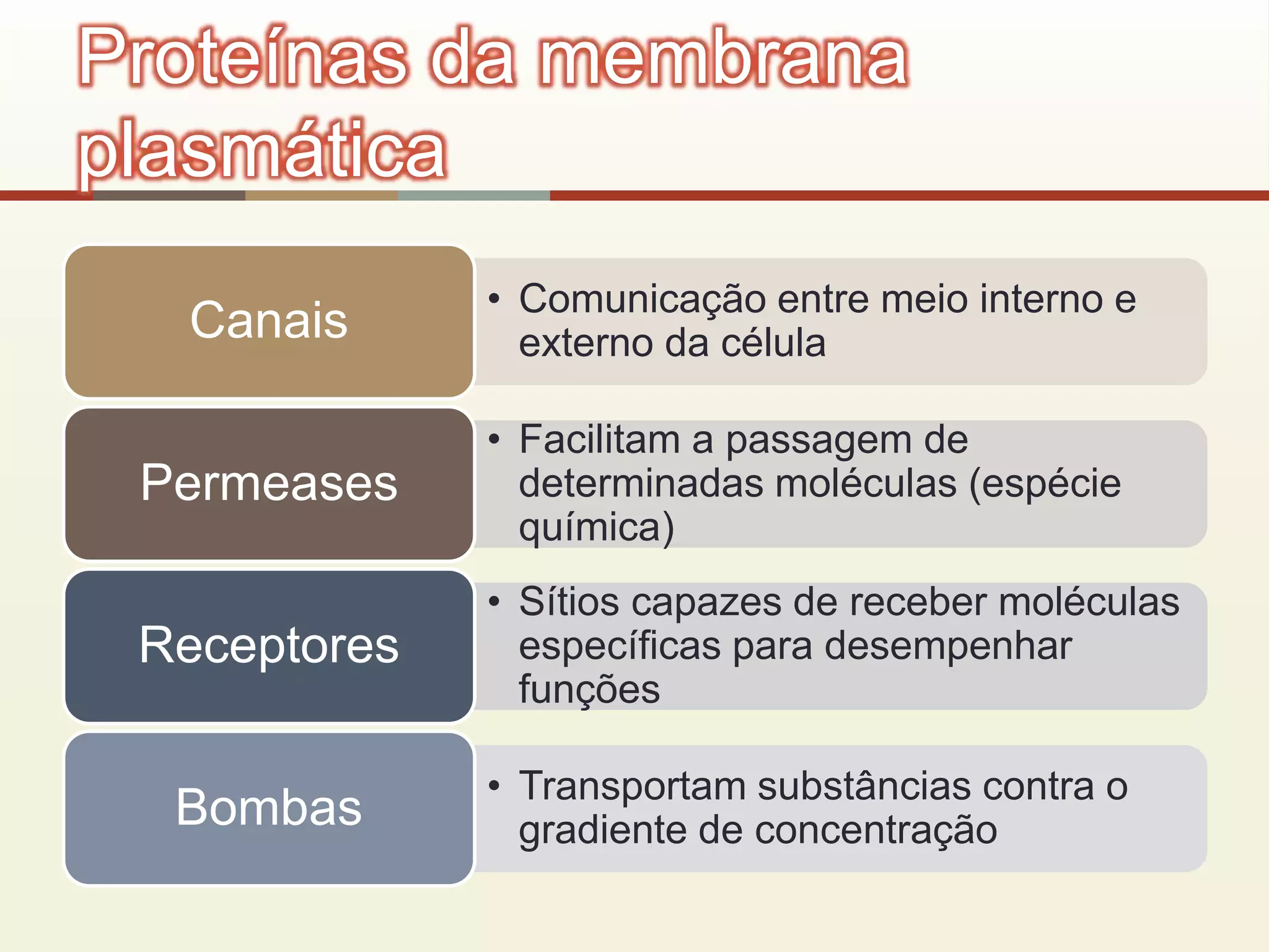 • Comunicação entre meio interno e
externo da célulaCanais
• Facilitam a passagem de
determinadas moléculas (espécie
química)
Permeases
• Sítios capazes de receber moléculas
específicas para desempenhar
funções
Receptores
• Transportam substâncias contra o
gradiente de concentraçãoBombas
Proteínas da membrana
plasmática
 