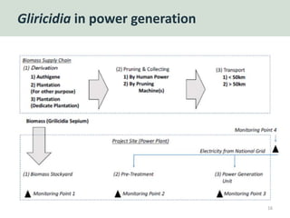 Gliricidia in power generation
16
 