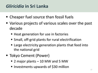 Gliricidia in Sri Lanka
 Cheaper fuel source than fossil fuels
 Various projects of various scales over the past
decade
 Heat generation for use in factories
 Small, off-grid plants for rural electrification
 Large electricity generation plants that feed into
the national grid
 Tokyo Cement (Power)
 2 major plants – 10 MW and 5 MW
 Investments upwards of $30 million
17
 