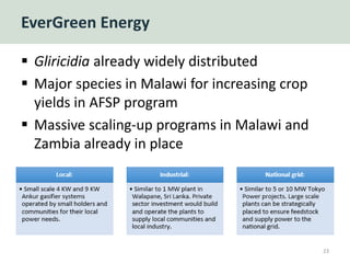 EverGreen Energy
 Gliricidia already widely distributed
 Major species in Malawi for increasing crop
yields in AFSP program
 Massive scaling-up programs in Malawi and
Zambia already in place
23
 