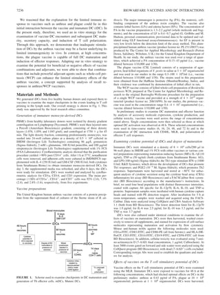 We reasoned that the explanation for the limited immune re-
sponse to vaccines such as anthrax and plague could lie in this
initial interaction between the vaccine and immature DC (iDC). In
the present study, therefore, we used an in vitro strategy for the
examination of vaccine-DC encounters and subsequent DC matu-
rity, secretory capacity, and induction of T cell polarization.
Through this approach, we demonstrate that inadequate stimula-
tion of DCs by the anthrax vaccine may be a factor underlying its
limited immunogenicity in vivo. In contrast, at high concentra-
tions, the plague vaccine is capable of full DC maturation and
induction of effector responses. Adapting our in vitro strategy to
examine the potential for beneﬁcial or negative effects of vaccine
combinations and adjuvants, we were able to show that combina-
tions that include powerful adjuvant agents such as whole-cell per-
tussis (WCP) can enhance the limited stimulatory effects of the
anthrax vaccine, a concept supported by analysis of recall re-
sponses in anthrax/WCP vaccinees.
Materials and Methods
We generated iDCs from ﬁve healthy human donors and exposed them to
vaccines to examine the major checkpoints in the events leading to T cell
priming in the lymph node. Our overall strategy is shown in Fig. 1. This
study was approved by the local research ethics committee.
Generation of immature monocyte-derived DCs
PBMCs from healthy laboratory donors were isolated by density gradient
centrifugation on Lymphoprep (Nycomed). PBMCs were then layered onto
a Percoll (Amersham Biosciences) gradient, consisting of three density
layers (1.076, 1.059, and 1.045 g/ml), and centrifuged at 1750 ϫ g for 45
min. The light density fraction, containing predominantly monocytes, was
seeded into 24-well culture plates at a density of 0.5 ϫ 106
cells/ml in
IMDM (Invitrogen Life Technologies) containing 86 ␮g/L gentamicin
(Sigma-Aldrich), 2 mM L-glutamine, 100 IU/ml penicillin, and 100 ␮g/ml
streptomycin (Invitrogen Life Technologies) supplemented with 1% FCS
(PAA Laboratories). Cytoﬂuorimetric analysis showed that the puriﬁcation
procedure yielded Ͼ90% pure CD14ϩ
cells. After 1 h at 37°C, nonadherent
cells were removed, and adherent cells were cultured in IMDM/FCS sup-
plemented with IL-4 (250 IU/ml) and GM-CSF (500 IU/ml; both cytokines
from Strathmann Biotec) to obtain immature monocyte-derived DCs. On
day 3, the supplemented media was refreshed, and after 6 days, the iDCs
were ready for stimulation. iDCs were washed and analyzed by cytoﬂuo-
rimetric analysis for CD1a, CD14, and CD3 expression. The mean per-
centage (ϮSD) of CD1aϩ
, CD14ϩ
, and CD3ϩ
cells was 92% (2.6), 7.5%
(2.4), and 2.8% (1.6), respectively, from ﬁve experiments.
Vaccine preparations
The United Kingdom human anthrax vaccine consists of a protein precip-
itate from the supernatant ﬂuid of cultures of the Sterne strain of B. an-
thracis. The major immunogen is protective Ag (PA), the nontoxic, cell-
binding component of the anthrax toxin complex. The vaccine also
contains lethal factors (LFs) and edema factors (EFs). The concentration of
PA in the vaccine preparation is 1.3–2.2 ␮g/ml (whole molecule and frag-
ments), and the concentration of LF is 0.4–0.7 ␮g/ml (G. Grifﬁths and M.
Hudson, personal communication; provisional data to be updated and val-
idated using GLP functional assays/immunoassays). An EF is present in
very low levels below the detection limit of the assay method. This alum-
precipitated human anthrax vaccine (product license no. PL1511/0037) was
produced by The Centre for Applied Microbiology and Research (Porton
Down, Salisbury, Wiltshire, U.K.) for the United Kingdom Department of
Health. In our study, the anthrax vaccine was used over a range of quan-
tities, which achieved a PA concentration of 0.13–43 pg/ml (i.e., vaccine
diluted between 1/10,000 and 1/30).
The plague vaccine (CSL Limited) consists of a suspension of agar-
grown, heat-killed organisms of Y. pestis in saline at 3 ϫ 109
organisms/ml
and was used in our studies in the range 0.3–100 ϫ 106
/ml (i.e., vaccine
diluted between 1/10,000 and 1/30). The strains used in this preparation
were obtained from the Haffkine Institute (Mumbai/Bombay, India), and
their virulence was conﬁrmed by demonstration of lethal effect in rats.
The WCP vaccine consists of killed whole-cell preparation of Bordetella
pertussis W28, prepared at The Centre for Applied Microbiology and Re-
search to the original Burroughs-Wellcome procedure for the preparation
of a single WCP vaccine and provided at a strength of 4 ϫ 1010
organ-
isms/ml (product license no. 208/10/99). In our studies, the pertussis vac-
cine was used in the concentration range 0.4–4 ϫ 107
organisms/ml (i.e.,
vaccine diluted between 1/10,000 and 1/30).
In preliminary studies to examine DC maturation and effector function
by analysis of accessory molecule expression, cytokine production, and
cellular toxicity, vaccines were used across the range of concentrations
stated above. Single concentrations were then selected as those at which
optimal DC activation was observed at 48 h. These selected concentrations
were used in time-course studies (6, 16, 24, 48, and 72 h) and in the
examination of DC interaction with CD40L, MLR, and polarization of
effector T cell responses.
Examining cytokine potential of iDCs and degree of maturation
Immature DCs were stimulated at a density of 8 ϫ 104
cells/200 ␮l in
96-well plates in IMDM and 1% FCS with either vaccines or various con-
trol preparations representing maturation-inducing factors (MFs) IL-1␤ (10
ng/ml), TNF-␣ (50 ng/ml) (both cytokines from Strathmann Biotec AG),
and LPS (100 ng/ml) (Sigma-Aldrich); the Th1-type stimulant IFN-␥ (1000
U/ml; R&D Systems), which drives the development of DCs that promote
Th1 responses; and PGE2 (10Ϫ6
M; Sigma-Aldrich), which promotes Th2
responses. Supernatants were harvested and stored at Ϫ80°C for subse-
quent analysis of cytokine secretion using the cytokine bead array (CBA)
inﬂammatory kit assay (BD Biosciences) and a FACSCalibur ﬂow cytom-
eter (BD Biosciences) according to the manufacturer’s instructions. In
brief, we used four bead populations with distinct ﬂuorescence intensities,
coated with capture Ab speciﬁc for IL-12p70, IL-6, IL-10, and TNF-␣
proteins. Supernatant samples were incubated with human cytokine capture
beads and stained with PE detection reagent. After incubation for 3 h at
room temperature, samples were washed and acquired using the FACS-
Calibur. Data were analyzed using CellQuest and CBA Analysis Software
1.1 (both from BD Biosciences). The lower detection limit for IL-12p70
was 1.9 pg/ml, for IL-6 was 2.5 pg/ml, for IL-10 was 3.3 pg/ml, and for
TNF-␣ was 3.7 pg/ml.
iDCs were also cultured under identical conditions to examine the ef-
fects of vaccines on maturation. DCs were then harvested, washed exten-
sively to remove all supplements, and stained for expression of cell-surface
molecules representing maturation and activation by ﬂow cytometry.
Mouse anti-human mAbs against the following molecules were used:
CD1a-FITC, CD83-FITC, and CD86-PE (all from Serotec); and HLA-DR-
PerCP, CD3-FITC, CD14-FITC, CD19-FITC, and CD56-FITC (all from
BD Biosciences). In addition, cellular toxicity was evaluated using 7-ami-
no-actinomycin D (7-AAD; ﬁnal concentration, 1 ␮g/ml; Calbiochem). At
least 5000 events gated on forward and side scatter were analyzed using the
CellQuest program (BD Biosciences), with dead (7-AADϩ
) cells excluded.
Corresponding isotype Abs were used to establish the quadrants and mark-
ers for analysis.
Effects of vaccines on the T cell stimulatory potential of DCs
Vaccine effects on the T cell stimulatory potential of DCs were examined
using the MLR. Immature DCs were exposed to vaccines for 48 h at the
following concentrations, which had elicited optimal effects on DCs in the
preliminary studies: anthrax at 0.43 pg/ml of PA; plague at 10 ϫ 106
organisms/ml; pertussis at 1 ϫ 106
organisms/ml. DCs were harvested,
FIGURE 1. Scheme used to examine checkpoints in DC maturation and
generation of Th effector cells. mDCs, Mature DCs.
7236 BIOWARFARE VACCINES AND DC INTERACTIONS
 