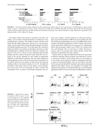 Our studies indicate that during its encounter with iDCs, the
anthrax vaccine induces limited maturation or production of key
proinﬂammatory cytokines. This ﬁnding resonates with the recent
report that the anthrax lethal toxin, present in our vaccine prepa-
ration, severely impairs DC function through disruption of immune
cell MAPK signaling networks (19). In that report, DCs exposed to
lethal toxin failed to up-regulate costimulatory molecules or make
proinﬂammatory cytokines and did not effectively stimulate Ag-
speciﬁc T cells in vivo. There are some similarities between these
ﬁndings and those made in the present study when DCs were ex-
posed to the vaccine, although we were unable to demonstrate
inhibition of LPS-induced responses. This may reﬂect differences
in the preparations used, or the fact that the ﬁnal concentrations of
PA and LF achieved in our cultures are below those showing clear
inhibitory effects in the study by Agrawal et al. (19). An additional
possibility is that factors present in the anthrax vaccine prepara-
tion, but not LF or PA, are responsible for effects on DCs. The
combination of PA, a nontoxic, cell-binding component of the an-
thrax toxin complex, with EFs produces an edema toxin that in-
duces increased intracellular cAMP levels in susceptible cells (20).
This inhibits neutrophil phagocytosis (21) and differentially down-
regulates LPS-induced production of TNF-␣ and IL-6 by increas-
ing the intracellular cAMP levels in monocytes (22). Additionally,
factors that up-regulate cAMP, such as PGE2 (23), cholera toxin
(24), and histamine (25), are all known to induce Th2-type re-
sponses, and in the present study, anthrax-primed, mature DCs
generated a predominant Th2-type response.
Clearly, there are important implications both for the generation
of effective immunity during encounter with wild-type B. anthra-
cis and also for anthrax vaccine design. However, our strategy of
in vitro studies has the capacity to indicate manipulations that may
overcome any undesirable effects. First, we were able to show that,
for the most part, the limited DC maturation and cytokine production
induced by the anthrax vaccine was correctable. For example, DCs
matured in the presence of conventional MFs plus vaccine produced
appropriate amounts of some of the major proinﬂammatory cytokines
FIGURE 5. Bar charts showing cytokine production by DCs exposed at the mature stage for 24 h in the presence of CD40 ligation to various control
stimuli, vaccines, or combinations of vaccines, always in the presence of MFs. IFN-␥ and PGE2 (plus MF) are used to represent Th1 and Th2 polarizing
stimuli, respectively. Bars represent mean (SD) cytokine levels measured in triplicates from cultures obtained in a single representative experiment of ﬁve
replicated studies. ATX, Anthrax; PL, plague.
FIGURE 6. Dot plot ﬂow cytomet-
ric analyses of IFN-␥ (x-axis) vs IL-4
(y-axis) staining of T cells expanded
and polarized by DCs matured for 48 h
under the conditions shown. The ﬁg-
ures in quadrants represent the percent-
age of stained cells. Representative
data from one of ﬁve different donors
are shown.
7241The Journal of Immunology
 