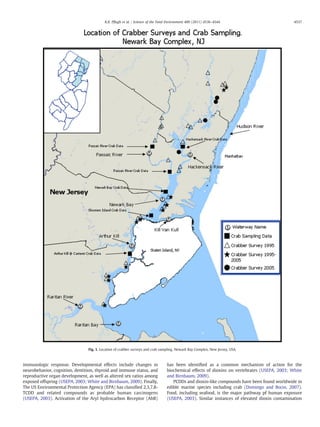 immunologic response. Developmental effects include changes in
neurobehavior, cognition, dentition, thyroid and immune status, and
reproductive organ development, as well as altered sex ratios among
exposed offspring (USEPA, 2003; White and Birnbaum, 2009). Finally,
The US Environmental Protection Agency (EPA) has classiﬁed 2,3,7,8-
TCDD and related compounds as probable human carcinogens
(USEPA, 2003). Activation of the Aryl hydrocarbon Receptor (AhR)
has been identiﬁed as a common mechanism of action for the
biochemical effects of dioxins on vertebrates (USEPA, 2003; White
and Birnbaum, 2009).
PCDDs and dioxin-like compounds have been found worldwide in
edible marine species including crab (Domingo and Bocio, 2007).
Food, including seafood, is the major pathway pf human exposure
(USEPA, 2003). Similar instances of elevated dioxin contamination
Fig. 1. Location of crabber surveys and crab sampling. Newark Bay Complex, New Jersey, USA.
4537K.K. Pﬂugh et al. / Science of the Total Environment 409 (2011) 4536–4544
 
