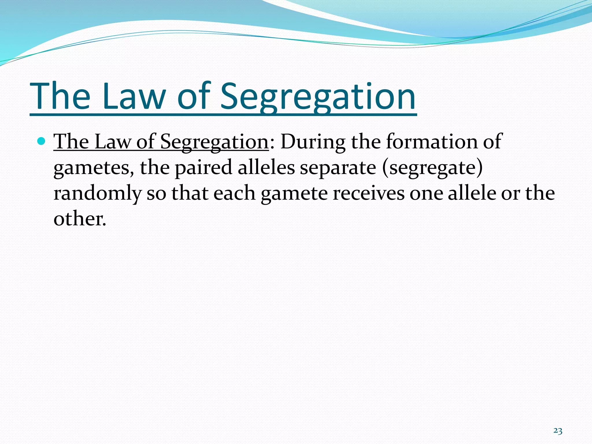 The Law of Segregation
 The Law of Segregation: During the formation of
gametes, the paired alleles separate (segregate)
randomly so that each gamete receives one allele or the
other.
23
 