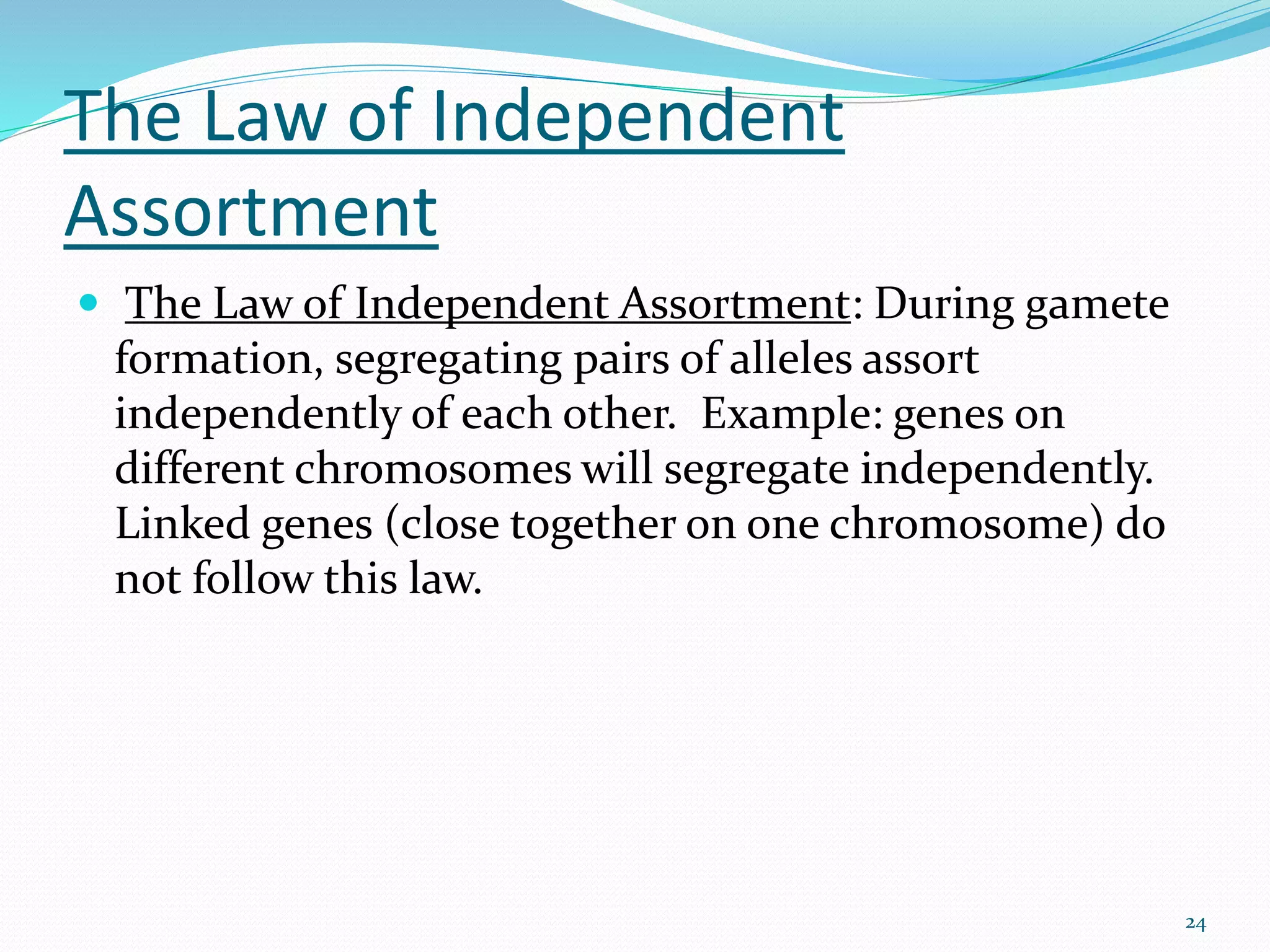 The Law of Independent
Assortment
 The Law of Independent Assortment: During gamete
formation, segregating pairs of alleles assort
independently of each other. Example: genes on
different chromosomes will segregate independently.
Linked genes (close together on one chromosome) do
not follow this law.
24
 