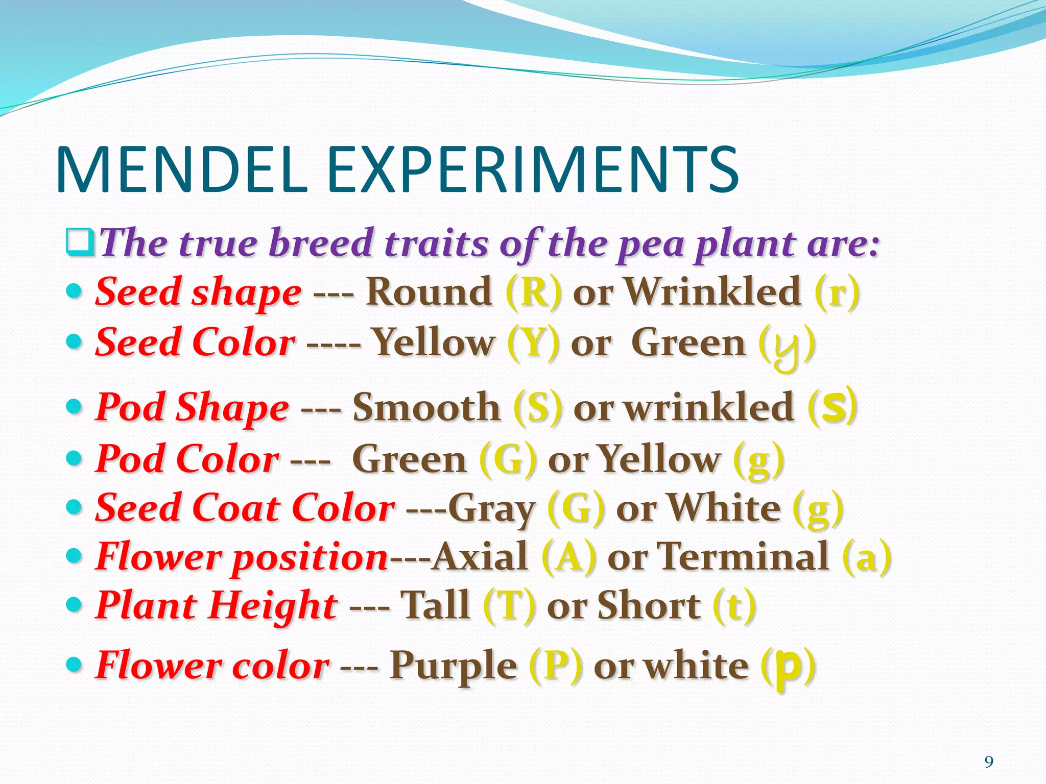 MENDEL EXPERIMENTS
The true breed traits of the pea plant are:
 Seed shape --- Round (R) or Wrinkled (r)
 Seed Color ---- Yellow (Y) or Green (y)
 Pod Shape --- Smooth (S) or wrinkled (s)
 Pod Color --- Green (G) or Yellow (g)
 Seed Coat Color ---Gray (G) or White (g)
 Flower position---Axial (A) or Terminal (a)
 Plant Height --- Tall (T) or Short (t)
 Flower color --- Purple (P) or white (p)
9
 