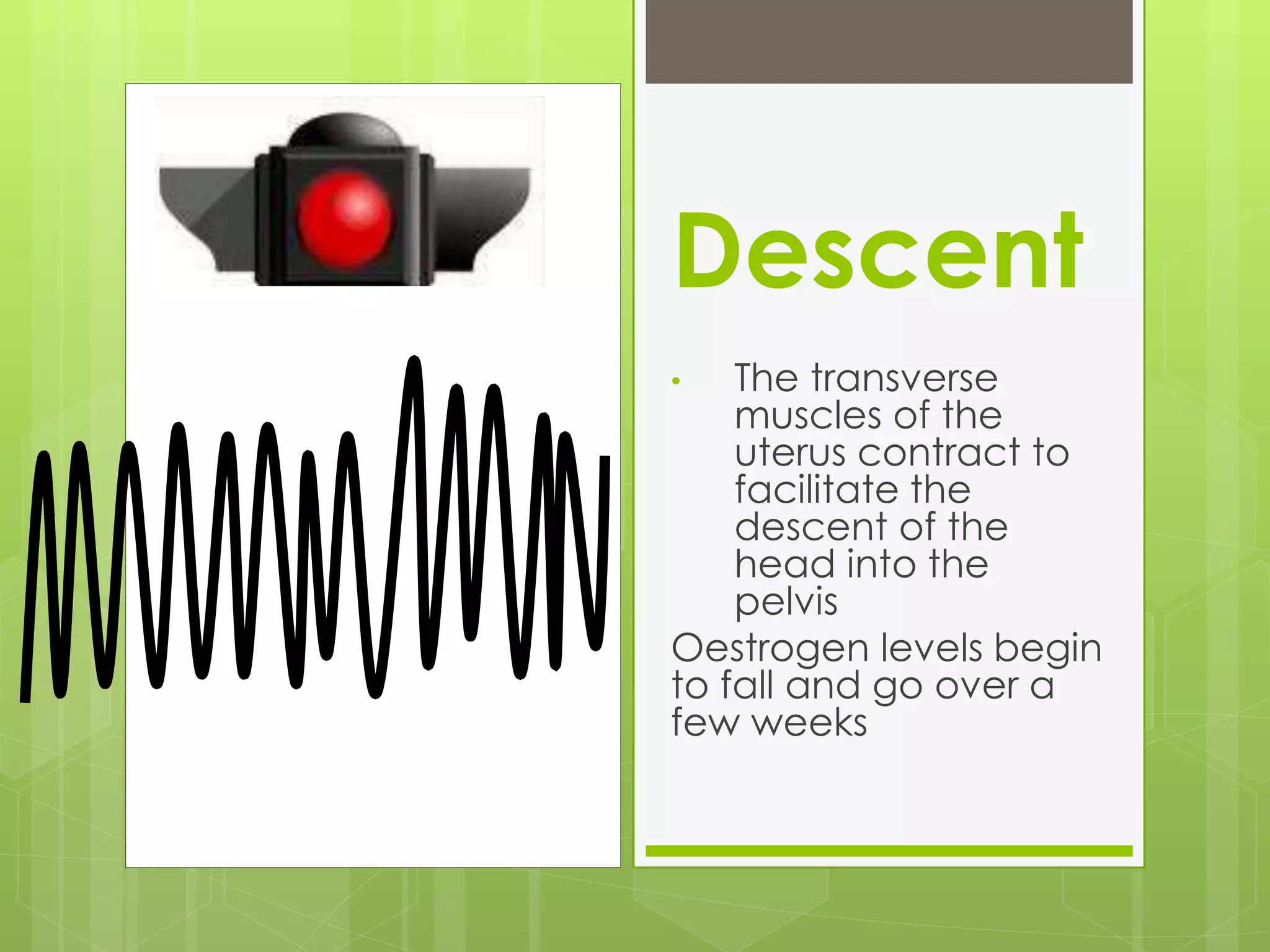 Descent
• The transverse
muscles of the
uterus contract to
facilitate the
descent of the
head into the
pelvis
Oestrogen levels begin
to fall and go over a
few weeks
 