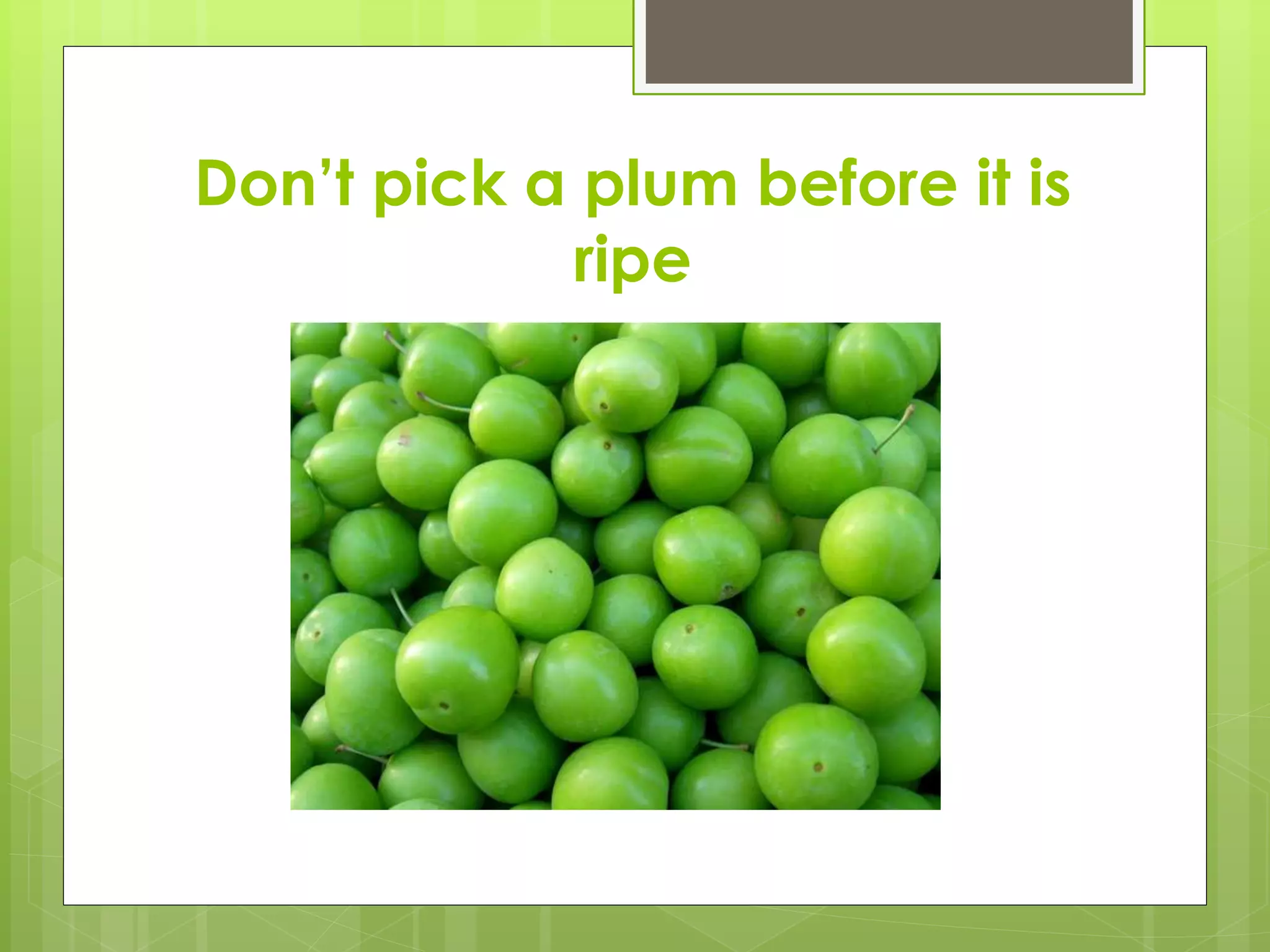 Don’t pick a plum before it is
ripe
 