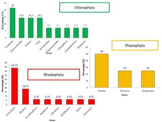 20
14.3 14.3 14.3
7.1 7.1 7.1 7.1 7.1
0
5
10
15
20
25Percentage(%)
Genus
50
25 25
0
10
20
30
40
50
60
Padina Dictyota Sargassum
Percentage(%)
Genus
43.75
18.75
6.25 6.25 6.25 6.25 6.25 6.25
0
5
10
15
20
25
30
35
40
45
50
Percentage(%)
Genus
Chlorophyta
Phaeophyta
Rhodophyta
 
