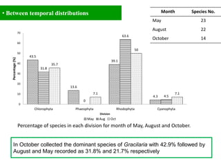 43.5
13.6
39.1
4.3
31.8
0
63.6
4.5
35.7
7.1
50
7.1
0
10
20
30
40
50
60
70
Chlorophyta Phaeophyta Rhodophyta Cyanophyta
Percentage(%)
Division
May Aug Oct
• Between temporal distributions
Percentage of species in each division for month of May, August and October.
Month Species No.
May 23
August 22
October 14
In October collected the dominant species of Gracilaria with 42.9% followed by
August and May recorded as 31.8% and 21.7% respectively
 