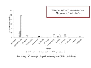 0
10
20
30
40
50
60
Percentageofcoverage(%)
Species
Sandy beach Rocky beach Mangrove swamp
Percentage of coverage of species on August of different habitats
Sandy & rocky - C. membranaceae
Mangrove – E. intestinalis
 