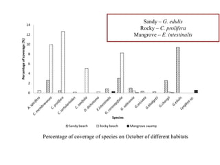 0
2
4
6
8
10
12
14Percentageofcoverage(%)
Species
Sandy beach Rocky beach Mangrove swamp
Percentage of coverage of species on October of different habitats
Sandy – G. edulis
Rocky – C. prolifera
Mangrove – E. intestinalis
 