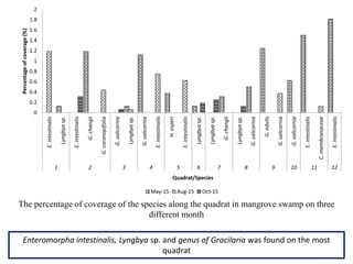 0
0.2
0.4
0.6
0.8
1
1.2
1.4
1.6
1.8
2
E.intestinalis
Lyngbyasp.
E.intestinalis
G.changii
G.coronopifolia
G.salicornia
Lyngbyasp.
G.salicornia
E.intestinalis
H.esperi
E.intestinalis
Lyngbyasp.
Lyngbyasp.
G.changii
Lyngbyasp.
G.salicornia
G.edulis
G.salicornia
G.salicornia
E.intestinalis
C.membranaceae
E.intestinalis
1 2 3 4 5 6 7 8 9 10 11 12
Percentageofcoverage(%)
Quadrat/Species
May-15 Aug-15 Oct-15
The percentage of coverage of the species along the quadrat in mangrove swamp on three
different month
Enteromorpha intestinalis, Lyngbya sp. and genus of Gracilaria was found on the most
quadrat
 