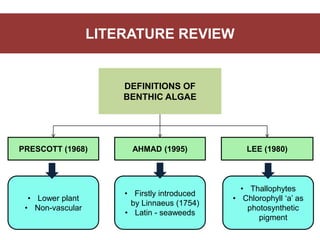 LITERATURE REVIEW
DEFINITIONS OF
BENTHIC ALGAE
PRESCOTT (1968) AHMAD (1995) LEE (1980)
• Lower plant
• Non-vascular
• Firstly introduced
by Linnaeus (1754)
• Latin - seaweeds
• Thallophytes
• Chlorophyll ‘a’ as
photosynthetic
pigment
 