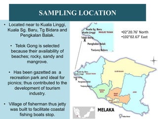 • Located near to Kuala Linggi,
Kuala Sg. Baru, Tg Bidara and
Pengkalan Balak.
• Telok Gong is selected
because their availability of
beaches; rocky, sandy and
mangrove.
• Has been gazetted as a
recreation park and ideal for
picnics; thus contributed to the
development of tourism
industry.
• Village of fisherman thus jetty
was built to facilitate coastal
fishing boats stop.
SAMPLING LOCATION
•02°20.76’ North
•102°02.67’ East
 