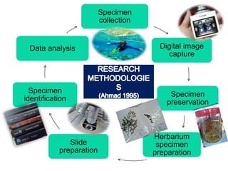 Specimen
collection
Digital image
capture
Specimen
preservation
Herbarium
specimen
preparation
Slide
preparation
Specimen
identification
Data analysis
 