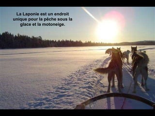 La Laponie est un endroit unique pour la pêche sous la glace et la motoneige. 