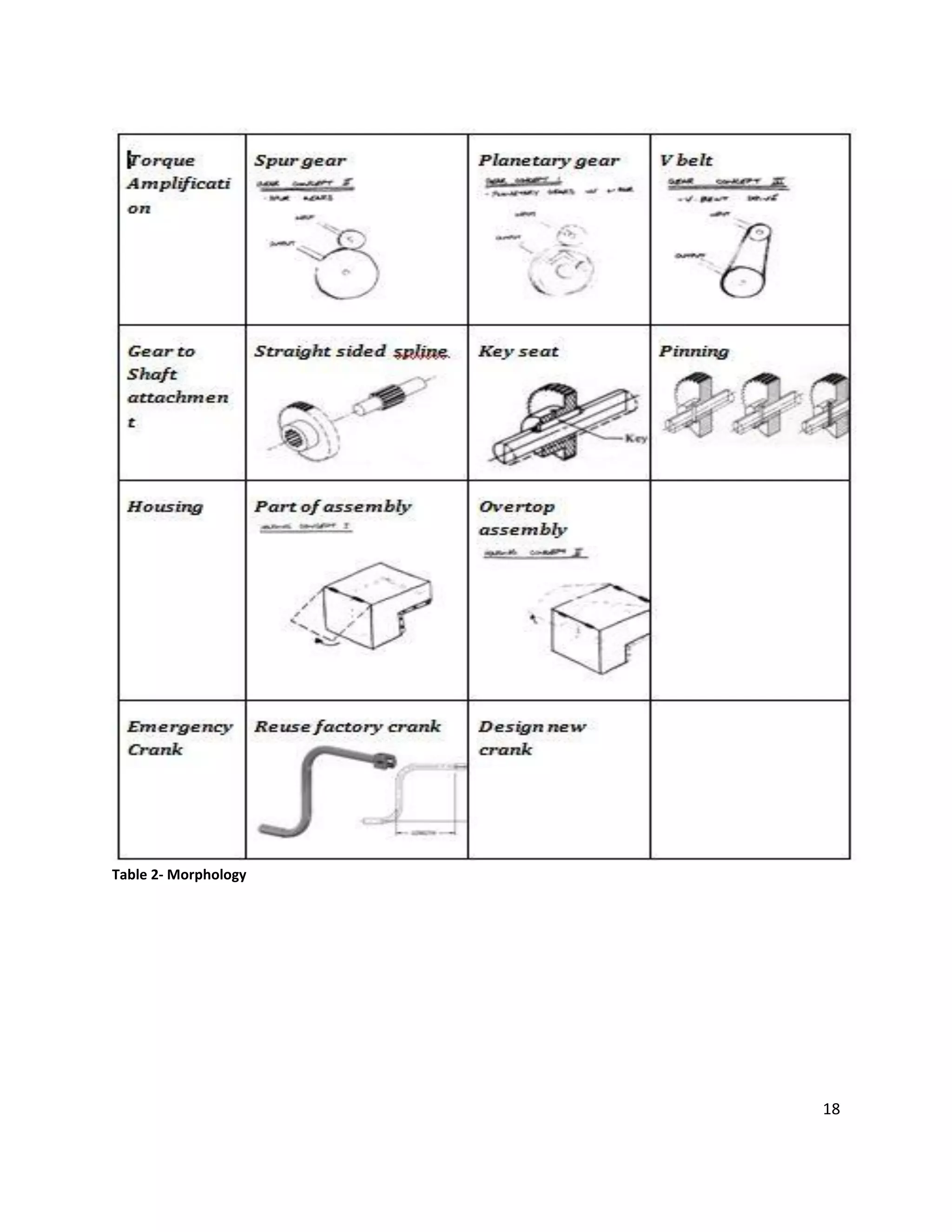 18
Table 2- Morphology
 