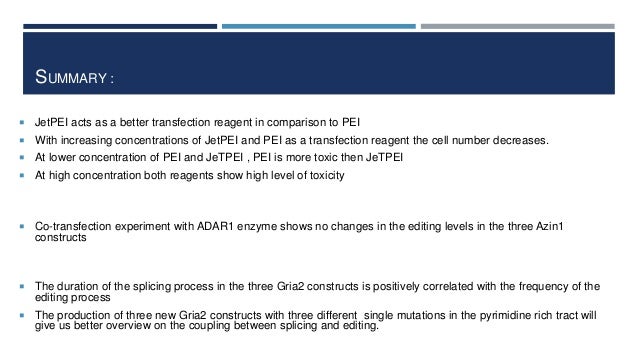 Bachelor thesis presentation image