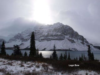 Lago  Bow 