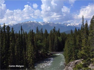 Cañón  Maligne 