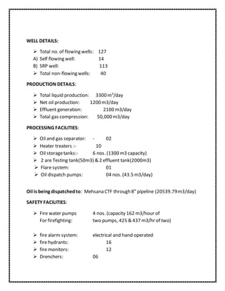 Amit Nitharwal report (2) | DOCX