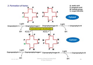 A P
A
A
A
P
P P
Uroprophyrinogen III
A P
A
A
A
P
P
P
Uroprophyrinogen I Uroporphyrin III
6H
Light
Uroporphyrin I
6H
Light
4CO2
4CO2
A; acetic acid
P; propionic acid
M; methyle group
V; vinyle CH2=CH2
Cytosol
Uroprophyrinogen decarboxylase
3. Formation of heme:
6H
6H 4CO2
M P
M
M
M
P
P P
Coproprophyrinogen III Coproporphyrin III
6H
Light
M P
M
M
M
P
P
P
4CO2
Coproprophyrinogen I
Coproporphyrin I
6H
Light
Cytosol
88
Chemistry of blood and body fluids
Dr Aaser Abdelazim
01-12-2011
 