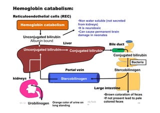 Hemoglobin catabolism
Reticuloendothelial cells (REC)
Unconjugated bilirubin
Albumin bound
•Non water soluble (not secreted
from kidneys)
•It is neurotoxic
•Can cause permanent brain
damage in neonates
Liver Bile duct
Hemoglobin catabolism:
Unconjugated bilirubin Conjugated bilirubin
Conjugated bilirubin
01-12-2011
Chemistry of blood and body fluids
Dr Aaser Abdelazim
98
Stercobilinogen
Urobilinogen Orange color of urine on
long standing
•Brown coloration of feces
•If not present lead to pale
colored feces
Portal vein
kidneys
Large intestine
Bacteria
Conjugated bilirubin
Stercobilinogen
Stercobilinogen
 