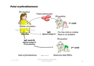Rh-positive
Rh-negative
Fetal erythrocytes
Mother circulation
IgG For this child or mother
1st child
Fetal erythroblastosis:
01-12-2011
Chemistry of blood and body fluids
Dr Aaser Abdelazim 114
IgG
Against antigen D
For this child or mother
there is no problem
Rh-positive
2nd child
IgG (anti-D)
Against antigen D
Cross placenta
Destructs fetal RBCs
fetal erythroblastosis
 