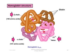 Hemoglobin structure:
Globin
(146 amino acids)
80
Chemistry of blood and body fluids
Dr Aaser Abdelazim
01-12-2011
(141 amino acids)
Hemoglobin α2,ᵦ2
 