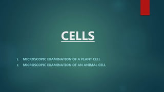 CELLS
1. MICROSCOPIC EXAMINATION OF A PLANT CELL
2. MICROSCOPIC EXAMINATION OF AN ANIMAL CELL
 