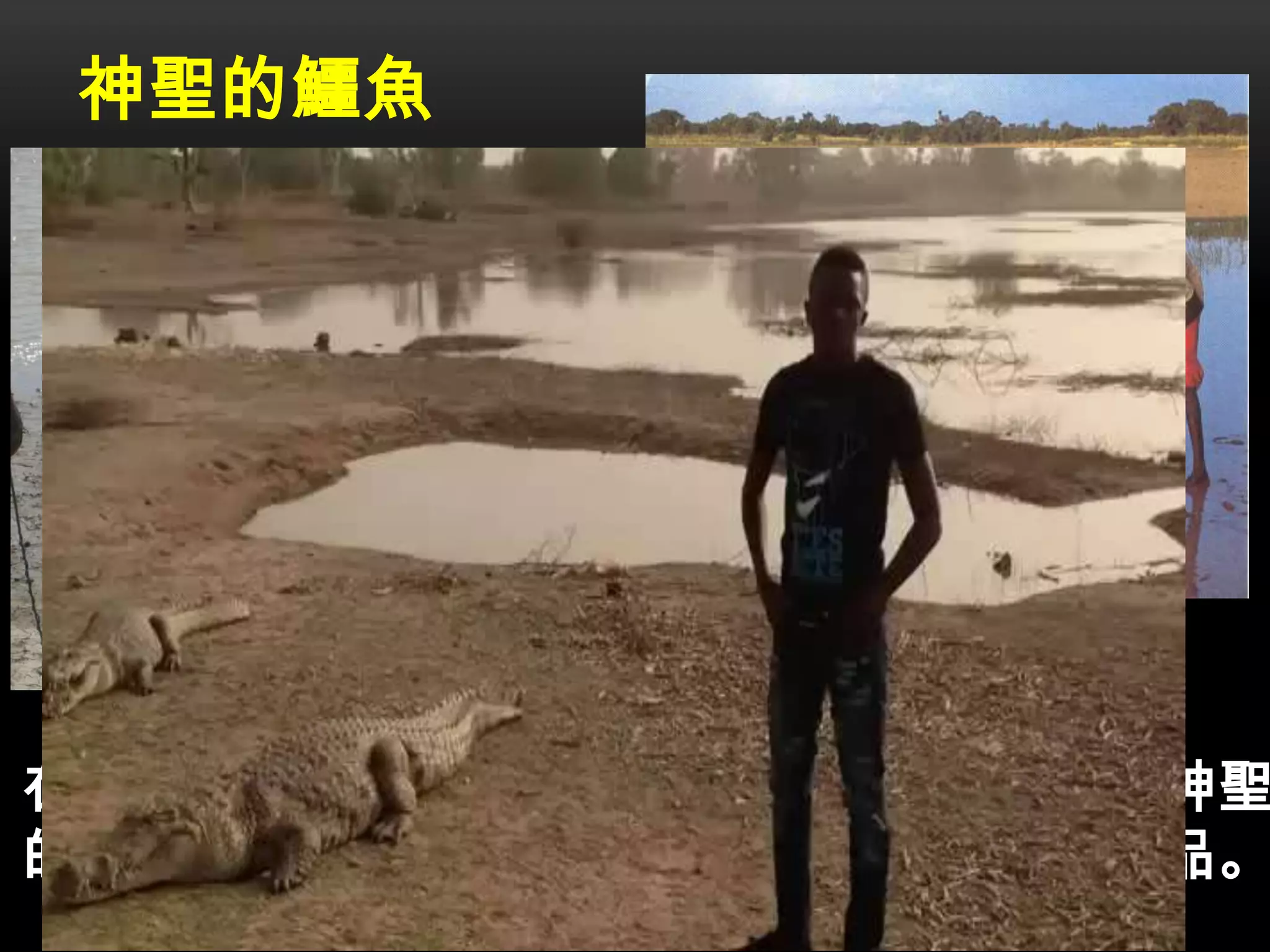 神聖的鱷魚
在北部城市，我們可以看到一些鱷魚。他們是神聖
的，不危險。很多遊客，給他們一些雞作為禮品。
 