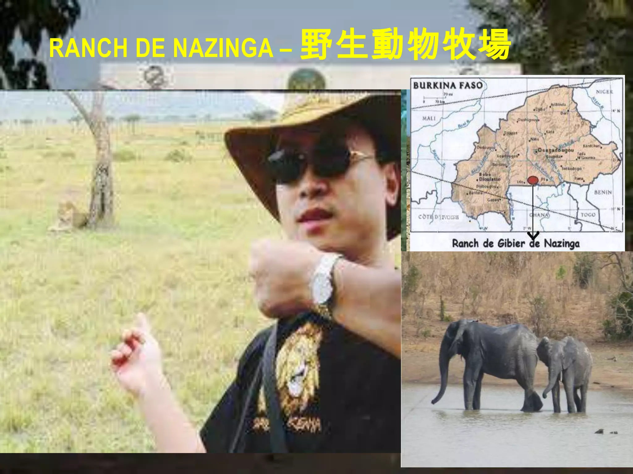 RANCH DE NAZINGA – 野生動物牧場
 