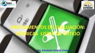 INSTRUMENTOS DE EVALUACIÓN:
RÚBRICAS LISTAS DE COTEJO
Mg. Elizabeth Giraldo Chávez
 