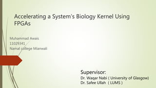Accelerating a System’s Biology Kernel Using
FPGAs
Muhammad Awais
11029341
Namal college Mianwali
Supervisor:
Dr. Waqar Nabi ( University of Glasgow)
Dr. Safee Ullah ( LUMS )
 
